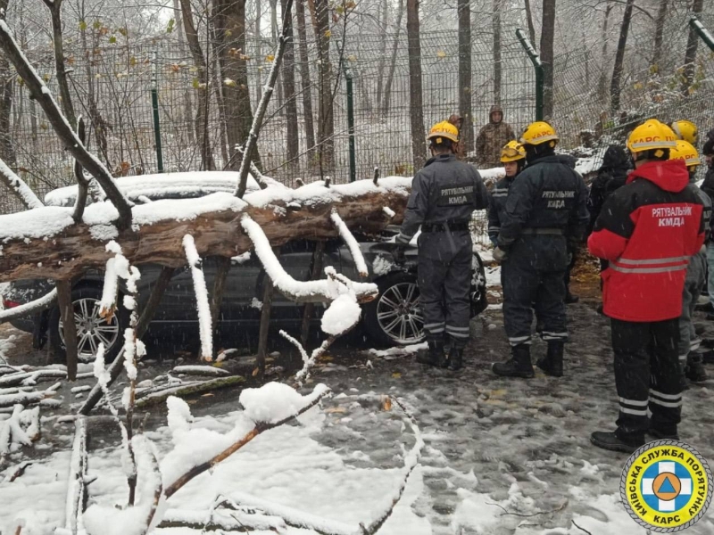 У Києві через негоду дерева падають на автомобілі (фото)