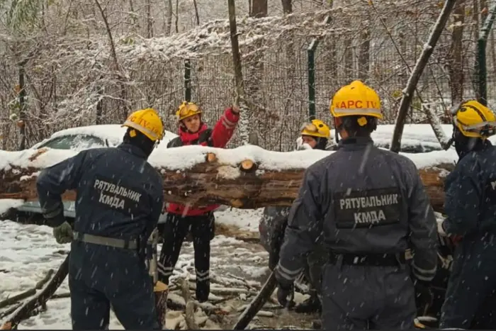 У Києві через негоду дерева падають на автомобілі (фото)