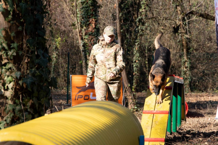 У Боздоському парку відкрили першу в Ужгороді спеціально облаштовану ділянку для вигулу та тренувань собак